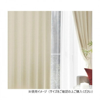 カーテン アール 2P 100X225 BE 725858000225065
