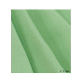 カーテン トラット 4P 100×110 グリーン 726101004110035