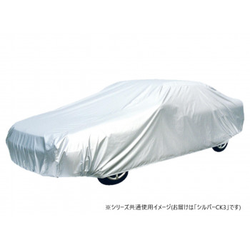 アラデン　ちょっとかけるクン シルバーCK3