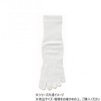 神戸生絲 婦人シルクハイゲージ5本指ソックス 22-24cm SY303 オフホワイト