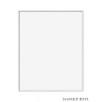 A.P.J.　フィットF太子 ホワイト　0020148315