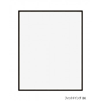 A.P.J.　フィットFインチ BK　0020145321