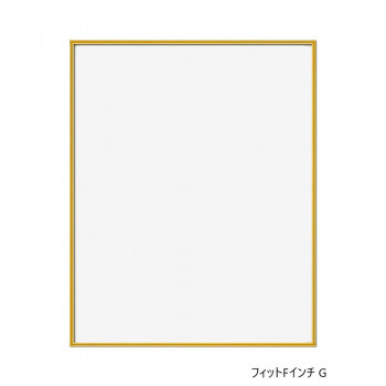 A.P.J.　フィットFインチ G　0020145352