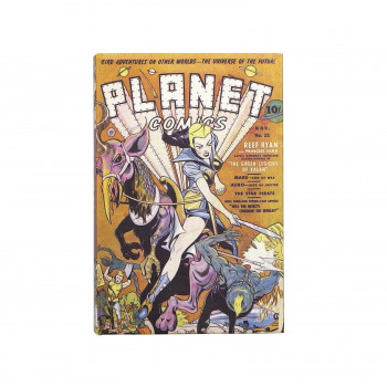 アメリカンコミック ブックボックス PLANET COMICS IN011488
