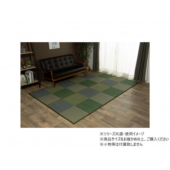 DXピーア 本間6畳 BL 286×382cm 1030340041302