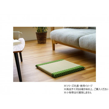 詩織 GN 40×40cm 1122950127301