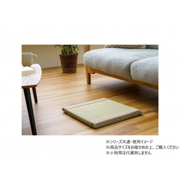 詩織 BE 40×40cm 1122950027301