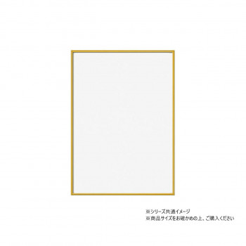 A.P.J.　フィットF B4 ゴールド　0020172358