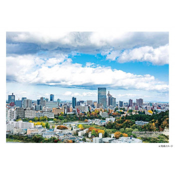 ジグソーパズル　300ピース 日本の都市55 宮城県仙台市「秋の仙台市全景」　300-411