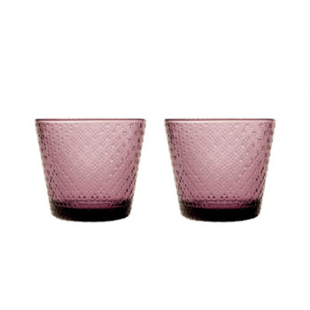 （A） Iittala ツンドラ タンブラー 290ml ペア カルーナ 1070605