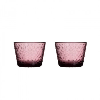 （A） Iittala ツンドラ タンブラー 160ml ペア カルーナ 1070602