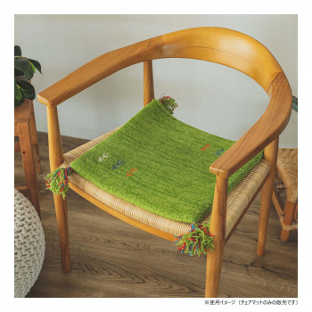 グラムスタイル アヤカマット GN 40x40cm 「GSCD802934」
