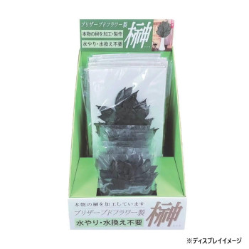 お供え用(仏花)　プリザーブド榊　販売用ケースセット　グリーン　H80040