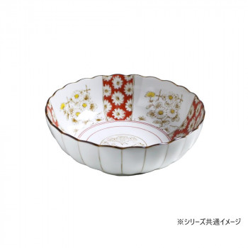 仁峰 ジャポニカ菊花 盛鉢 JP88-C01