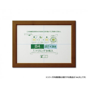 大仙　賞状額　カノエ　PET　箱入　A4(大)　ブラウン　33J635E2501