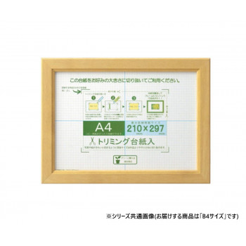 大仙　賞状額　OAカノエ　PET　箱入　B4　ナチュラル　33J635E6200