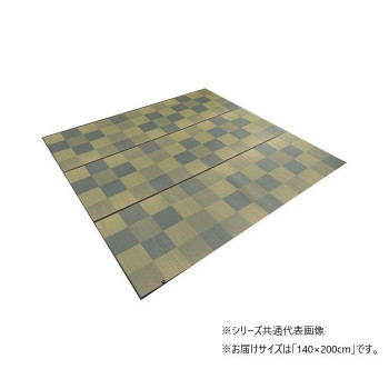 ブロック　ラグタイプ　LGY　140×200cm　1050970302303