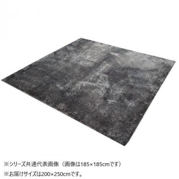 ソフトシャギー調ラグ　ラルジュ　3畳　GY　200×250cm　1280200131303
