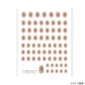 TSUMEKIRA(ツメキラ) ネイルシール Ayaプロデュース チークネイル ナッツブラウン NN-CEK-001