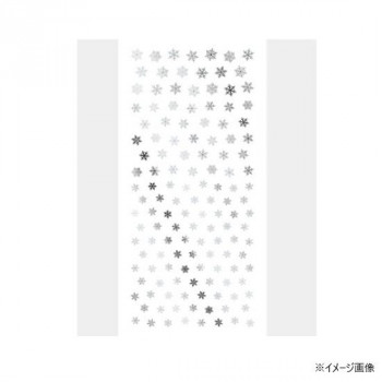 TSUMEKIRA(ツメキラ) ネイルシール(ジェル専用) Standard Snow シルバー SG-YUK-014