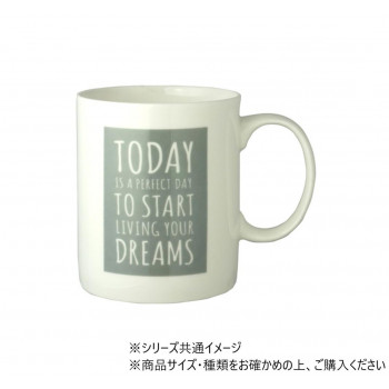 BCマグカップ(TODAY 380ml グレー 705439
