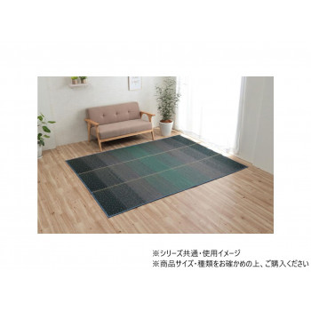 NCXクリア パーソナルマット 60×180cm ブルー 1070480041103