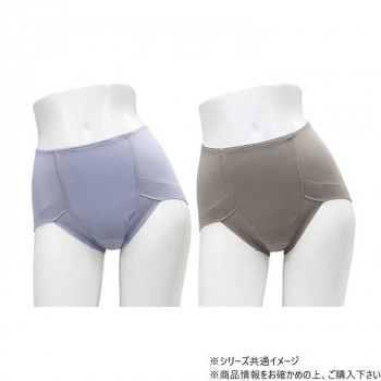 スタイルセレブリティ 吸水消臭ショーツ 2色組 婦人用 TJI-679 L ブルーセット(ブルー・グレー各1枚) 514695 U0937