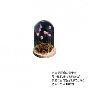 Flower glass dome フラワーガラスドーム 41400