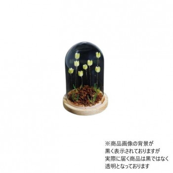 Flower glass dome フラワーガラスドーム 41401