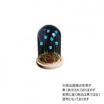 Flower glass dome フラワーガラスドーム 41402