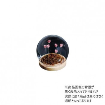Flower glass dome フラワーガラスドーム 41404