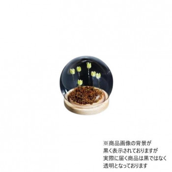 Flower glass dome フラワーガラスドーム 41405