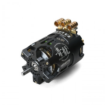 G-FORCE SHORYU 青龍 Drift Brushless Motor 15.5T G0907