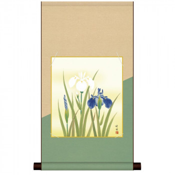 色紙掛・色紙セット 田村竹世  菖蒲 31×57cm KN2HEM-026