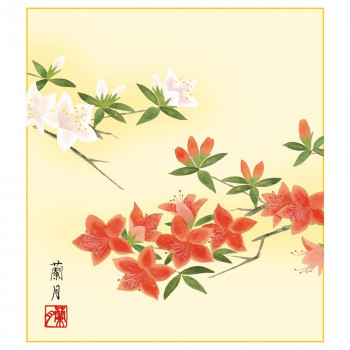 色紙 吉井蘭月 つつじ 24.2×27.2cm K5-021A