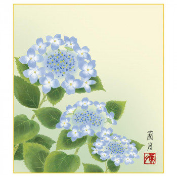 色紙 吉井蘭月 紫陽花 24.2×27.2cm K5-021B