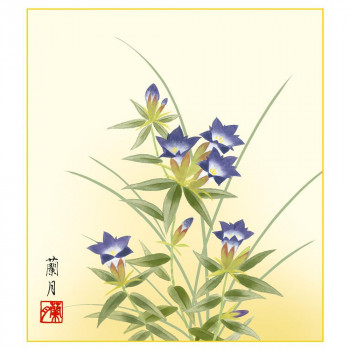 色紙 吉井蘭月 桔梗 24.2×27.2cm K5-021C