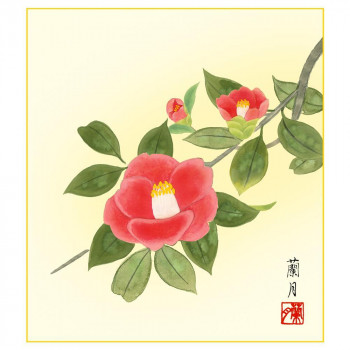 色紙 吉井蘭月 寒椿 24.2×27.2cm K5-021D