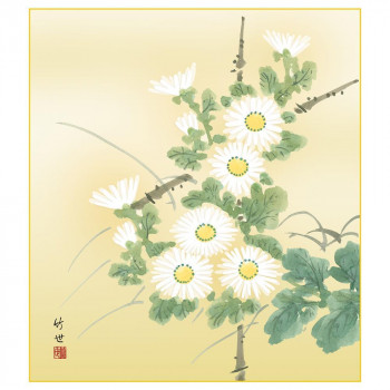 色紙 田村竹世  菊花 24.2×27.2cm K5-016C