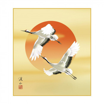 色紙 伊藤渓山 旭日飛翔 24.2×27.2cm K9-014