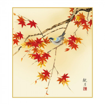 色紙 森山観月 紅葉に小鳥 24.2×27.2cm K5-012
