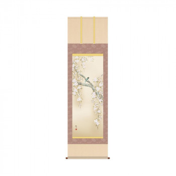 掛軸 森山観月桜花に小鳥 54.5×190cm KZ2A2-085