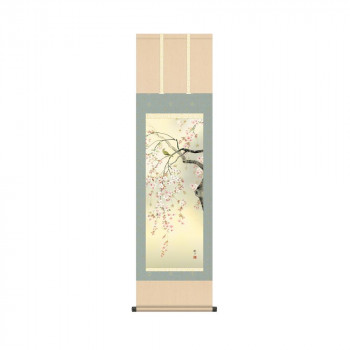 掛軸 森山観月桜花 44.5×164cm KZ2MA2-088