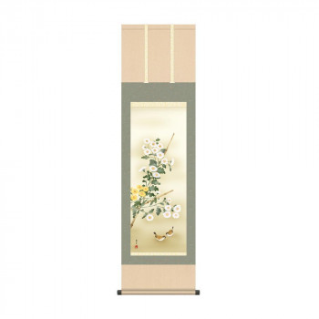掛軸 吉井蘭月菊花 44.5×164cm KZ2MA4-144