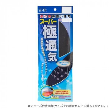 is-fit スーパー極通気インソール 男性用LL