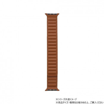 Apple Watch バンド CORVIN レザー風マグネットバンド ブラウン LN-AW49B21BR