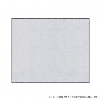 (クリーンテックス) スタンダードマットS    ホワイト  75×90  cm
