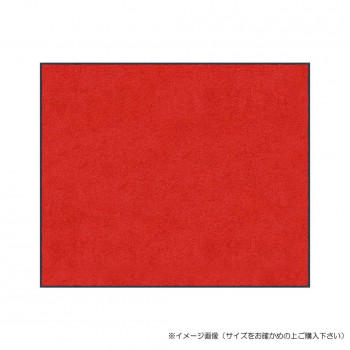 (クリーンテックス) スタンダードマットS    レッド  90×150  cm