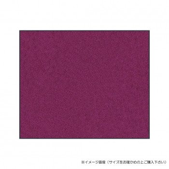 (クリーンテックス) スタンダードマットS    パープル  45×75  cm