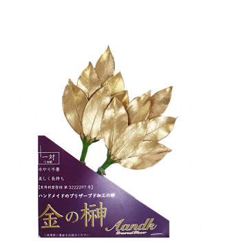 A＆K 日本製プリザーブド 金の榊(ミニSS) gSK-003
